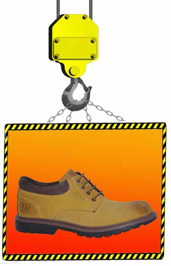 
S001 - 
Shoe (Vans) 